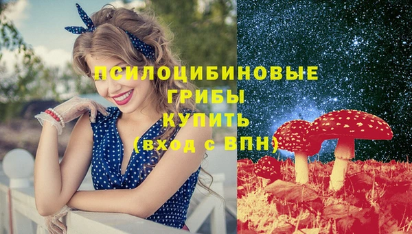 кокс Арсеньев