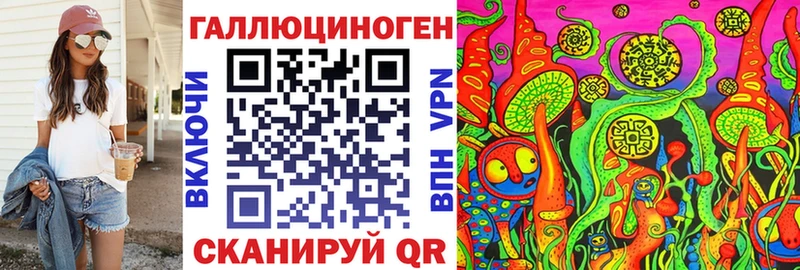 купить закладку Багратионовск Псилоцибиновые грибы MAGIC MUSHROOMS
